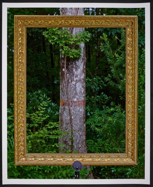 © Abelardo Morell.  Image courtesy Emory Libraries Digitization.