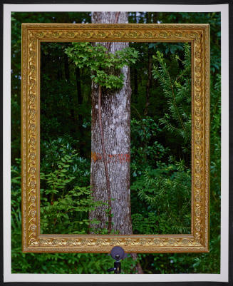© Abelardo Morell.  Image courtesy Emory Libraries Digitization.