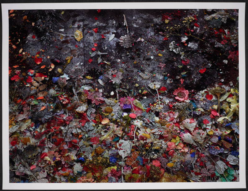 © Abelardo Morell.  Image courtesy Emory Libraries Digitization.
