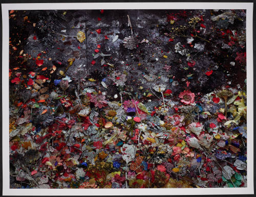 © Abelardo Morell.  Image courtesy Emory Libraries Digitization.