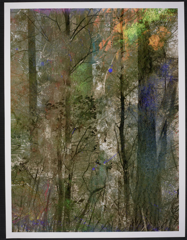 © Abelardo Morell.  Image courtesy Emory Libraries Digitization.