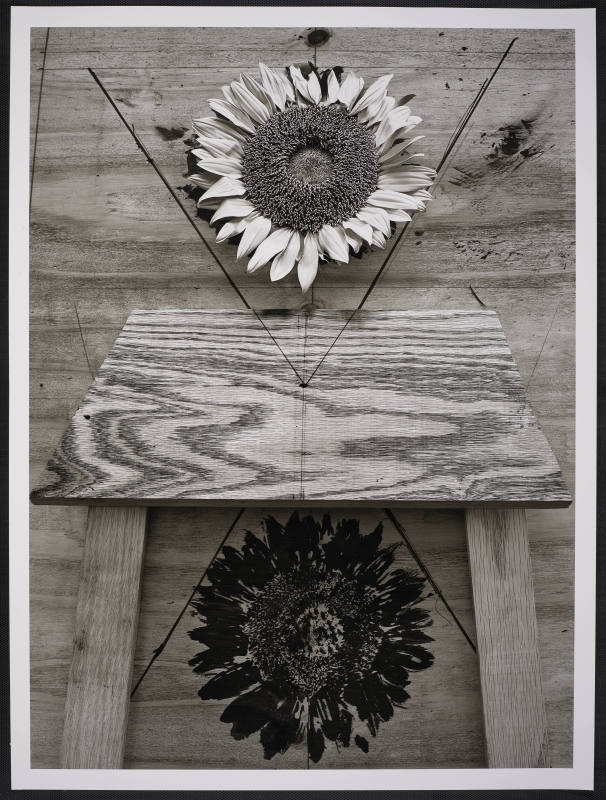 © Abelardo Morell.  Image courtesy Emory Libraries Digitization.