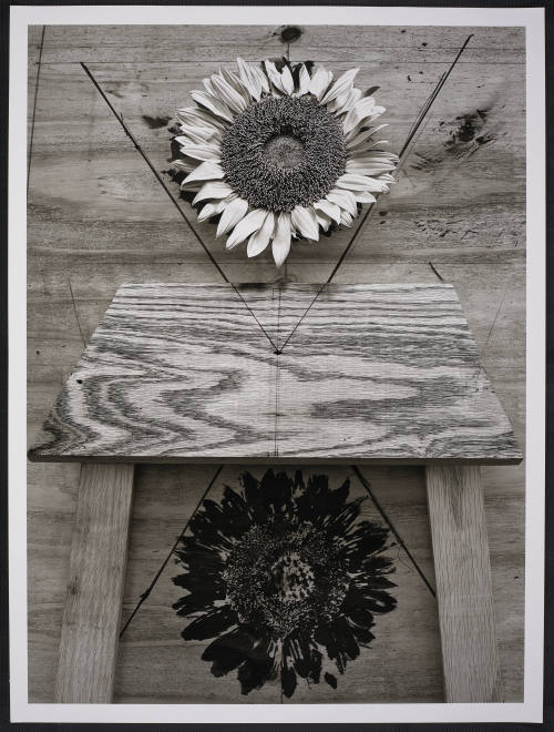 © Abelardo Morell.  Image courtesy Emory Libraries Digitization.
