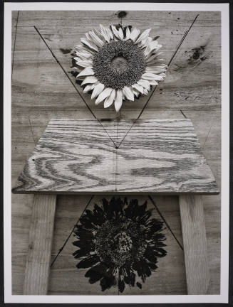 © Abelardo Morell.  Image courtesy Emory Libraries Digitization.