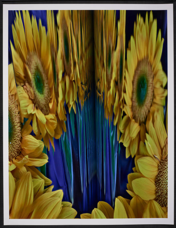 © Abelardo Morell.  Image courtesy Emory Libraries Digitization.