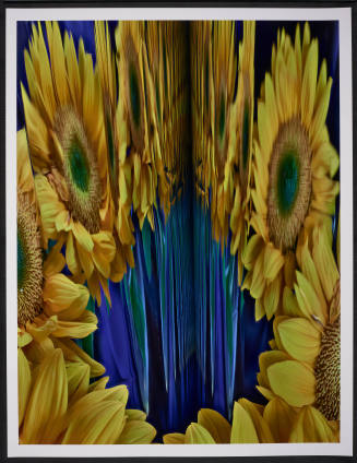 © Abelardo Morell.  Image courtesy Emory Libraries Digitization.