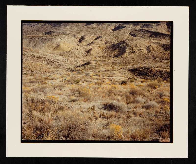 © Stephen Shore.  Image courtesy Emory Libraries Digitization.
