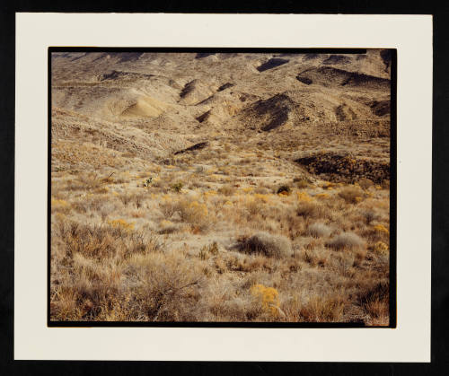 © Stephen Shore.  Image courtesy Emory Libraries Digitization.