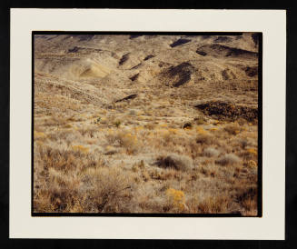 © Stephen Shore.  Image courtesy Emory Libraries Digitization.