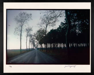 © Joel Meyerowitz.  Image courtesy Emory Libraries Digitization