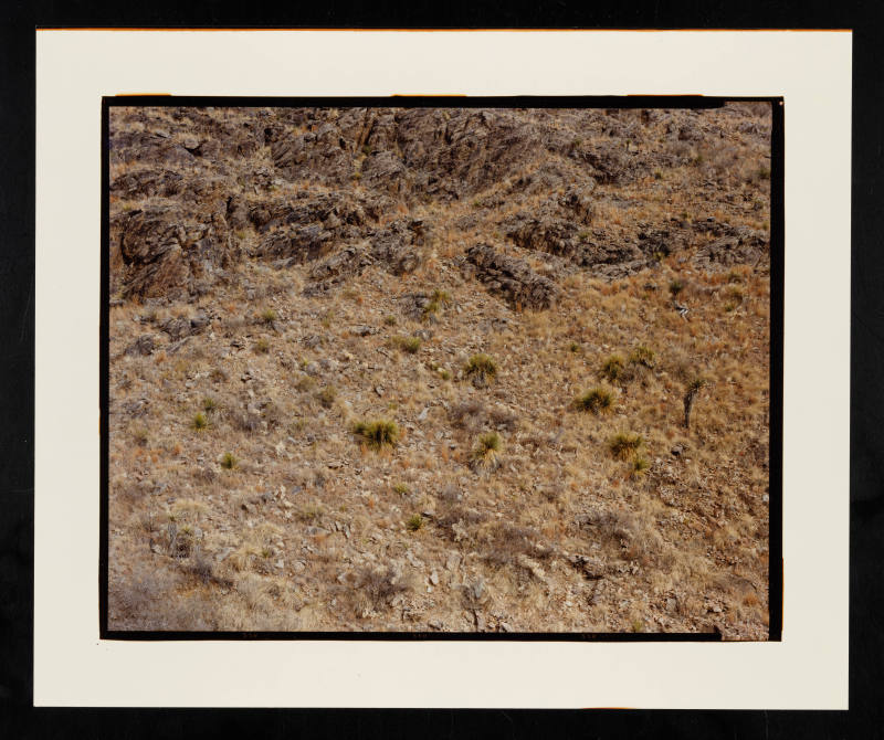 © Stephen Shore.  Image courtesy Emory Libraries Digitization.