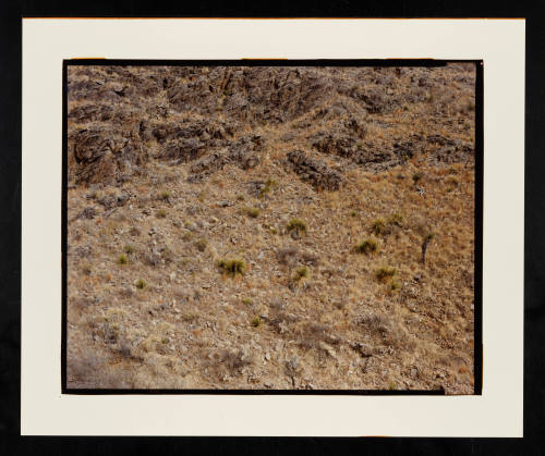 © Stephen Shore.  Image courtesy Emory Libraries Digitization.