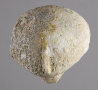 © Michael C. Carlos Museum, Emory University