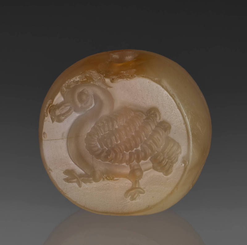 Image courtesy Emory Libraries Digitization