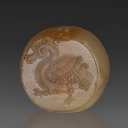 Image courtesy Emory Libraries Digitization