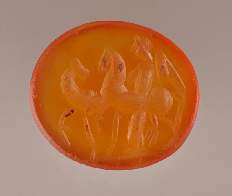 Image courtesy Emory Libraries Digitization