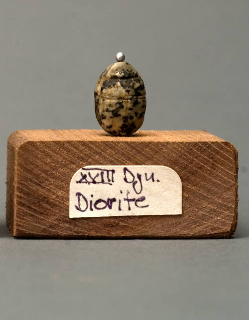 © Michael C. Carlos Museum, Emory University.  Photo by Kay Hinton.