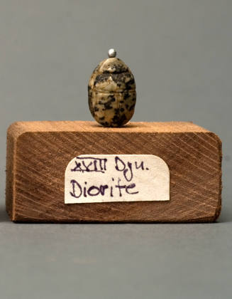 © Michael C. Carlos Museum, Emory University.  Photo by Kay Hinton.