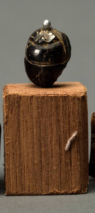 © Michael C. Carlos Museum, Emory University.  Photo by Kay Hinton.