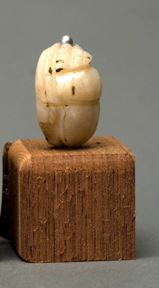 © Michael C. Carlos Museum, Emory University.  Photo by Kay Hinton.