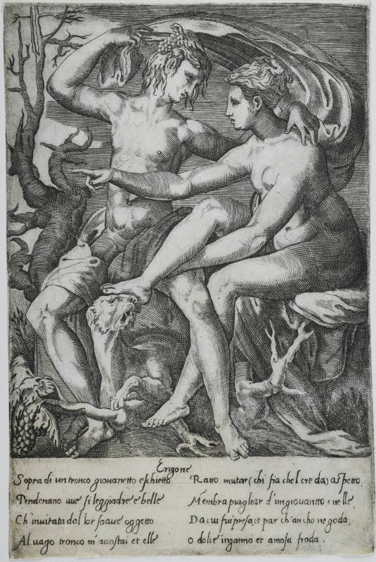 © Michael C. Carlos Museum, Emory University