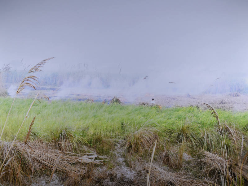 © Caleb Cain Marcus. Image courtesy Michael C. Carlos Museum, Emory University