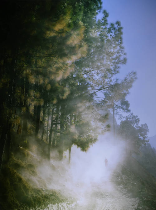 © Caleb Cain Marcus. Image courtesy Michael C. Carlos Museum, Emory University
