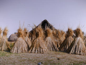 © Caleb Cain Marcus. Image courtesy Michael C. Carlos Museum, Emory University