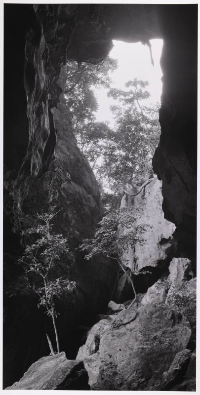 © Sally Gall.  Image courtesy Michael C. Carlos Museum, Emory University.