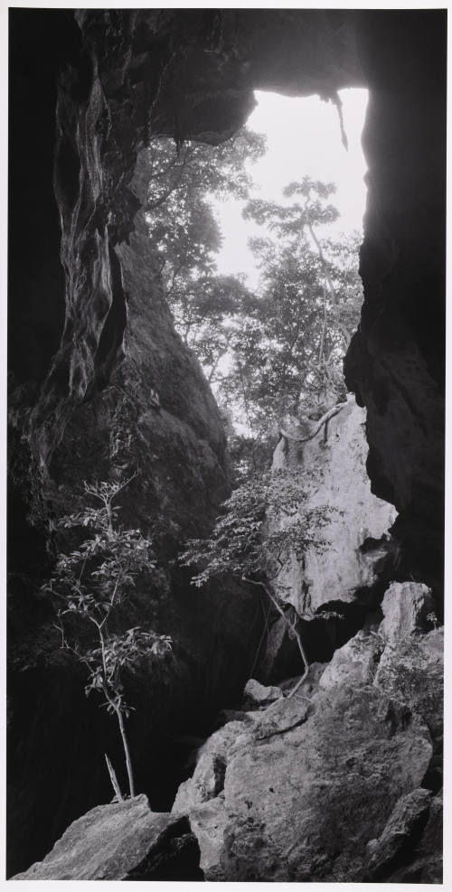 © Sally Gall.  Image courtesy Michael C. Carlos Museum, Emory University.