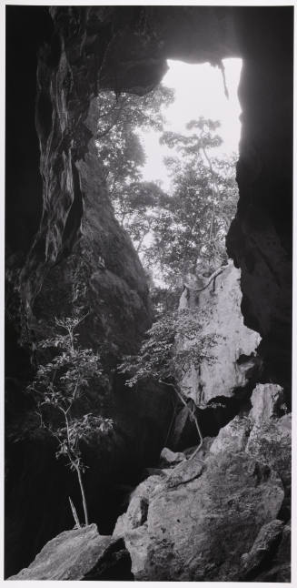 © Sally Gall.  Image courtesy Michael C. Carlos Museum, Emory University.