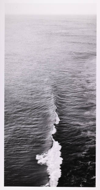 © Sally Gall.  Image courtesy Michael C. Carlos Museum, Emory University.