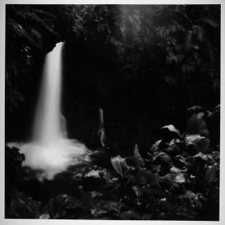 © Sally Gall.  Image courtesy Michael C. Carlos Museum, Emory University.