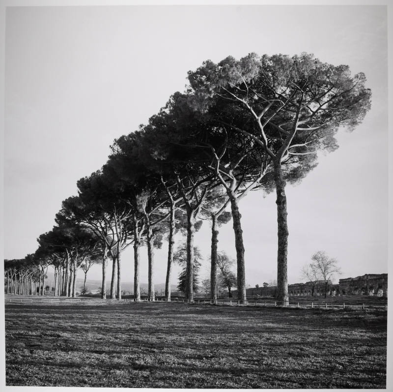 © Sally Gall.  Image courtesy Michael C. Carlos Museum, Emory University.