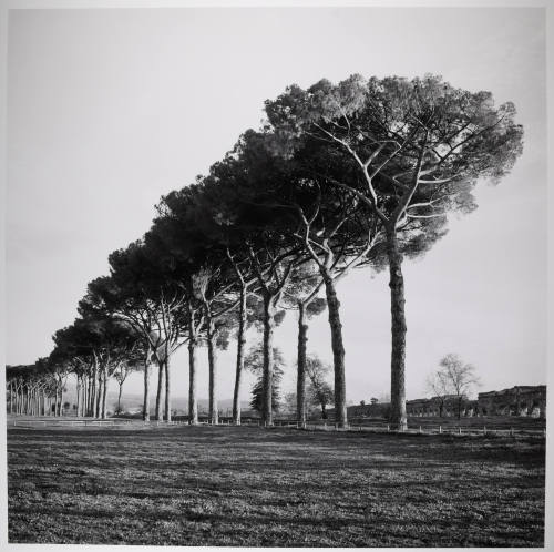© Sally Gall.  Image courtesy Michael C. Carlos Museum, Emory University.
