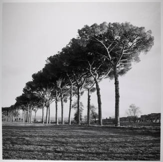 © Sally Gall.  Image courtesy Michael C. Carlos Museum, Emory University.