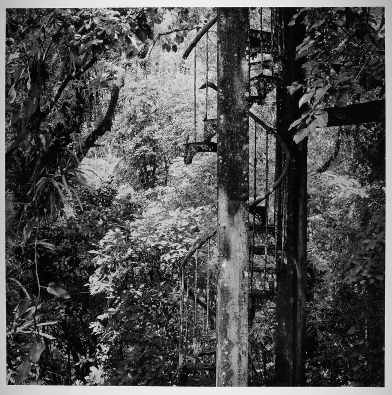 © Sally Gall.  Image courtesy Michael C. Carlos Museum, Emory University.