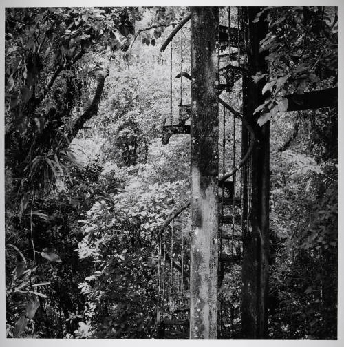 © Sally Gall.  Image courtesy Michael C. Carlos Museum, Emory University.