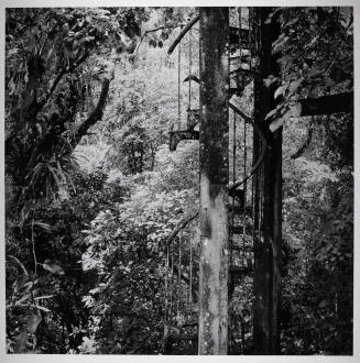 © Sally Gall.  Image courtesy Michael C. Carlos Museum, Emory University.
