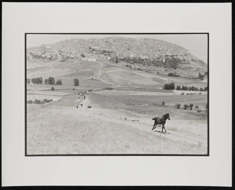 © Leonard Freed / Magnum Photos.  Image courtesy Emory Libraries Digitization.
