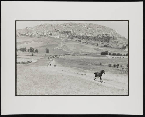 © Leonard Freed / Magnum Photos.  Image courtesy Emory Libraries Digitization.