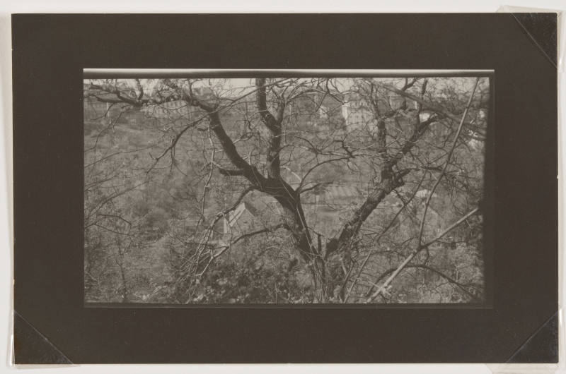 © Estate of Josef Sudek.  Image courtesy Emory Libraries Digitization.