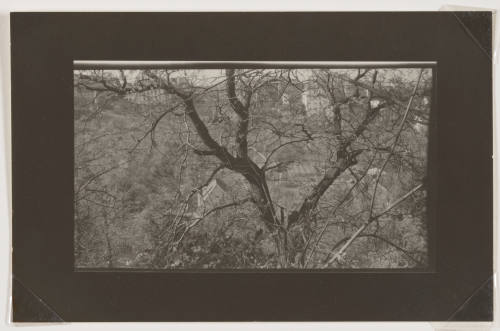 © Estate of Josef Sudek.  Image courtesy Emory Libraries Digitization.