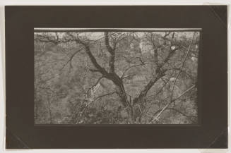 © Estate of Josef Sudek.  Image courtesy Emory Libraries Digitization.