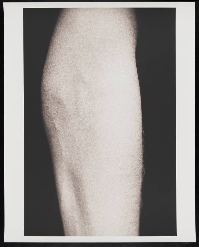 © Henry Horenstein.  Image courtesy Emory Libraries Digitization.