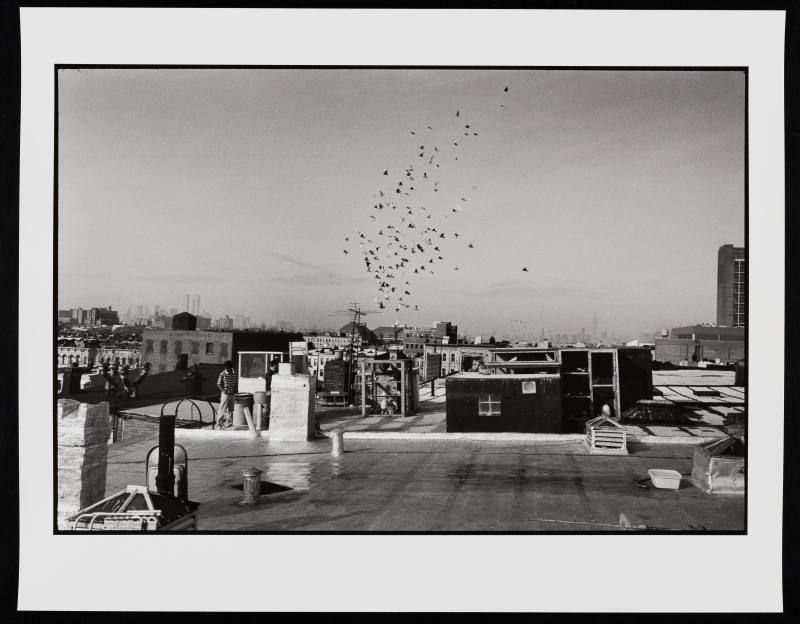 © Danny Lyon.  Image courtesy Emory Libraries Digitization.
