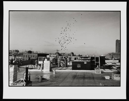 © Danny Lyon.  Image courtesy Emory Libraries Digitization.