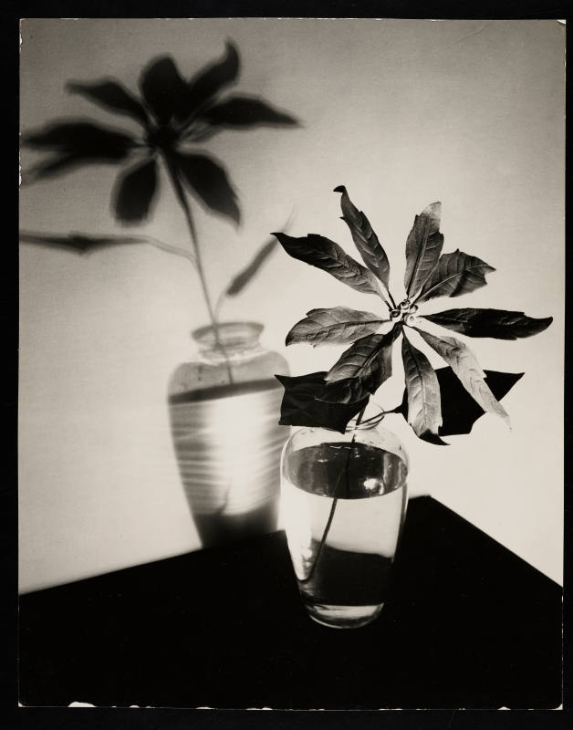 © Estate of Edward Quigley.  Image courtesy Emory Libraries Digitization.