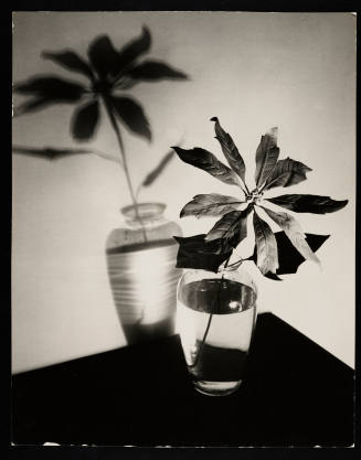 © Estate of Edward Quigley.  Image courtesy Emory Libraries Digitization.