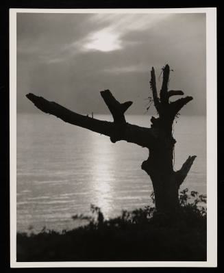 © Estate of Edward Quigley.  Image courtesy Emory Libraries Digitization.